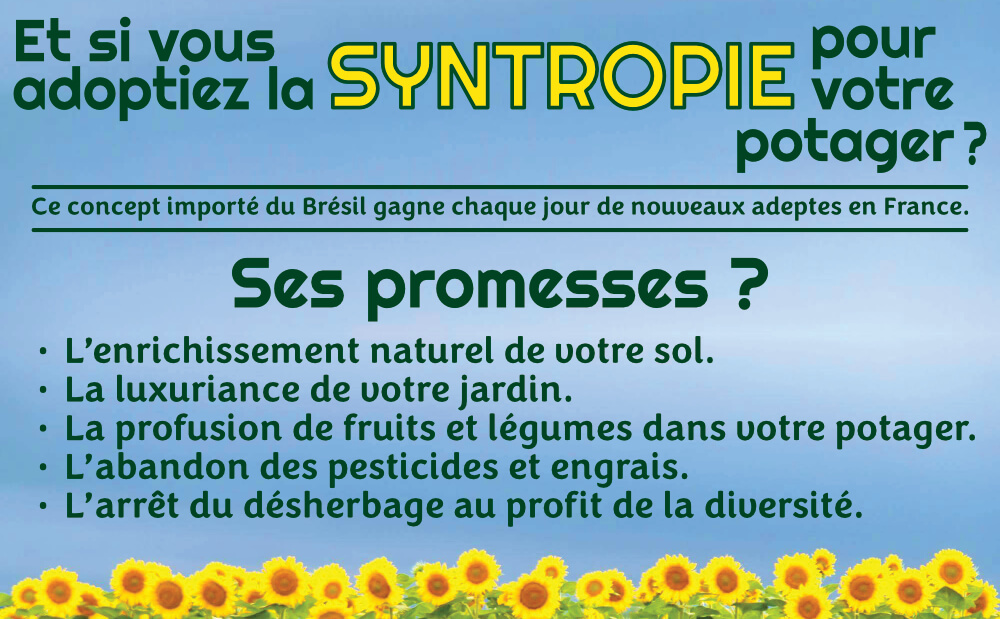 Potager syntropie 1