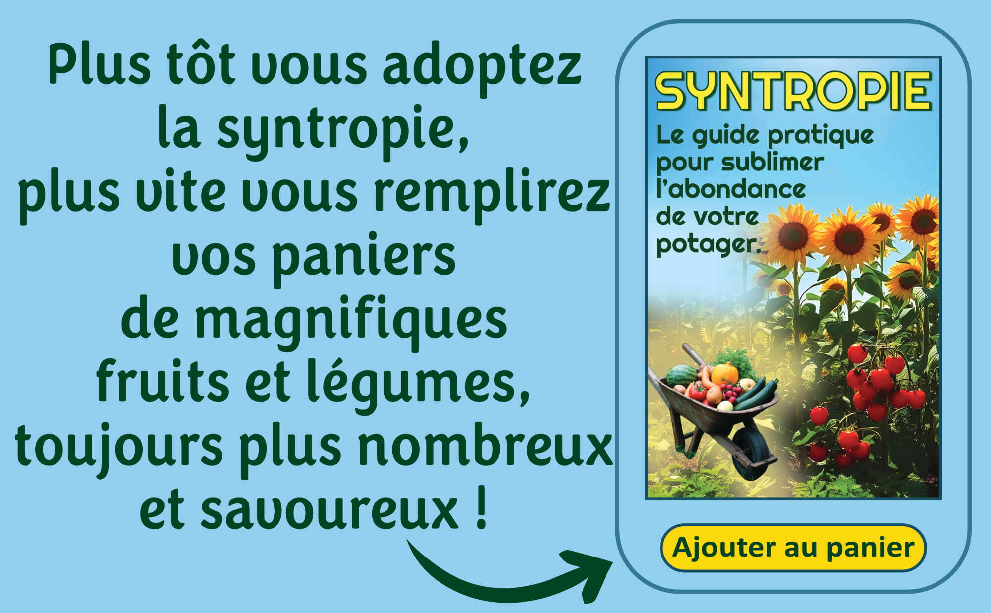 Potager syntropie 4