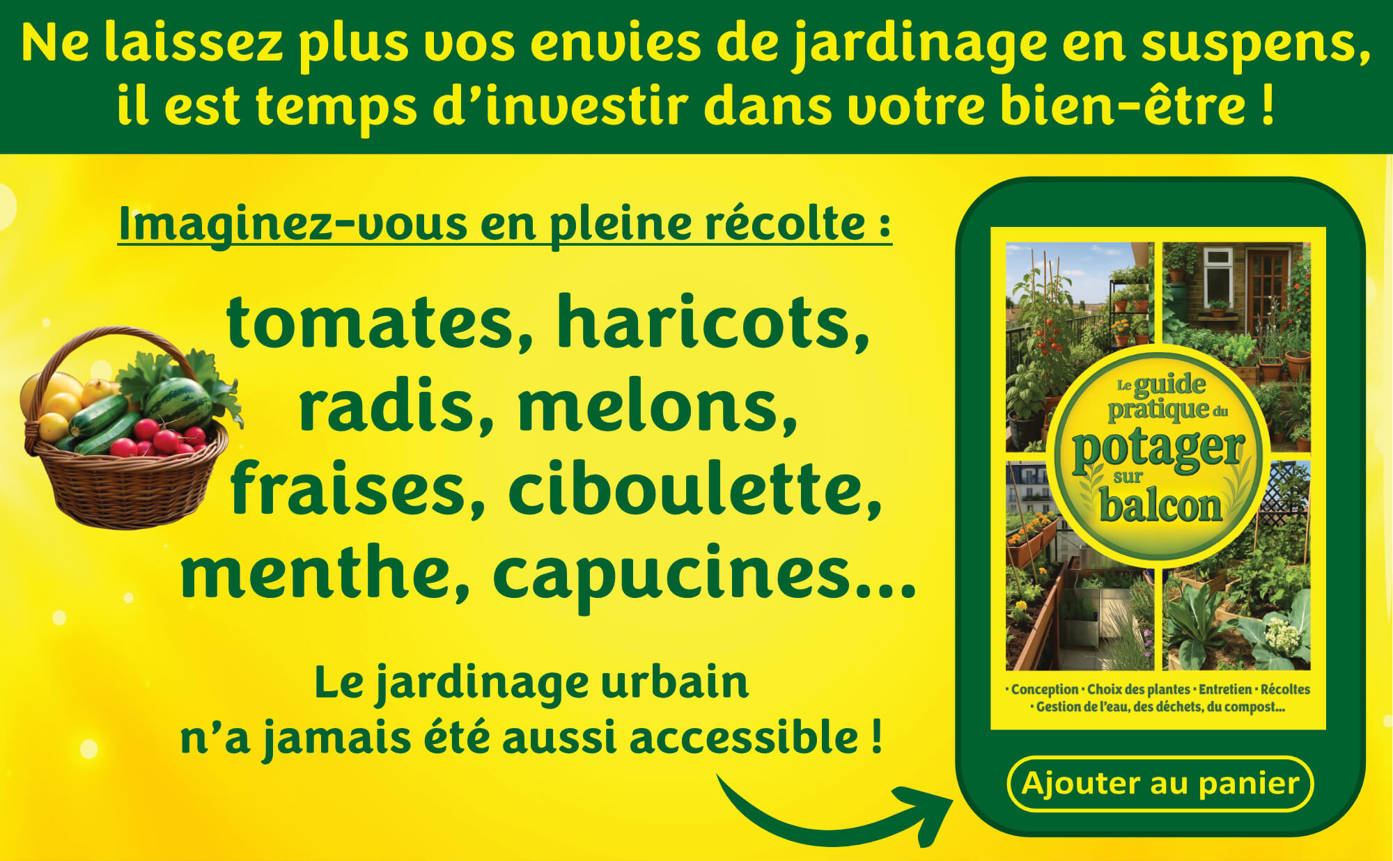 Potager sur balcon 3