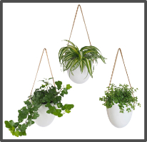 Pots de fleurs suspendus