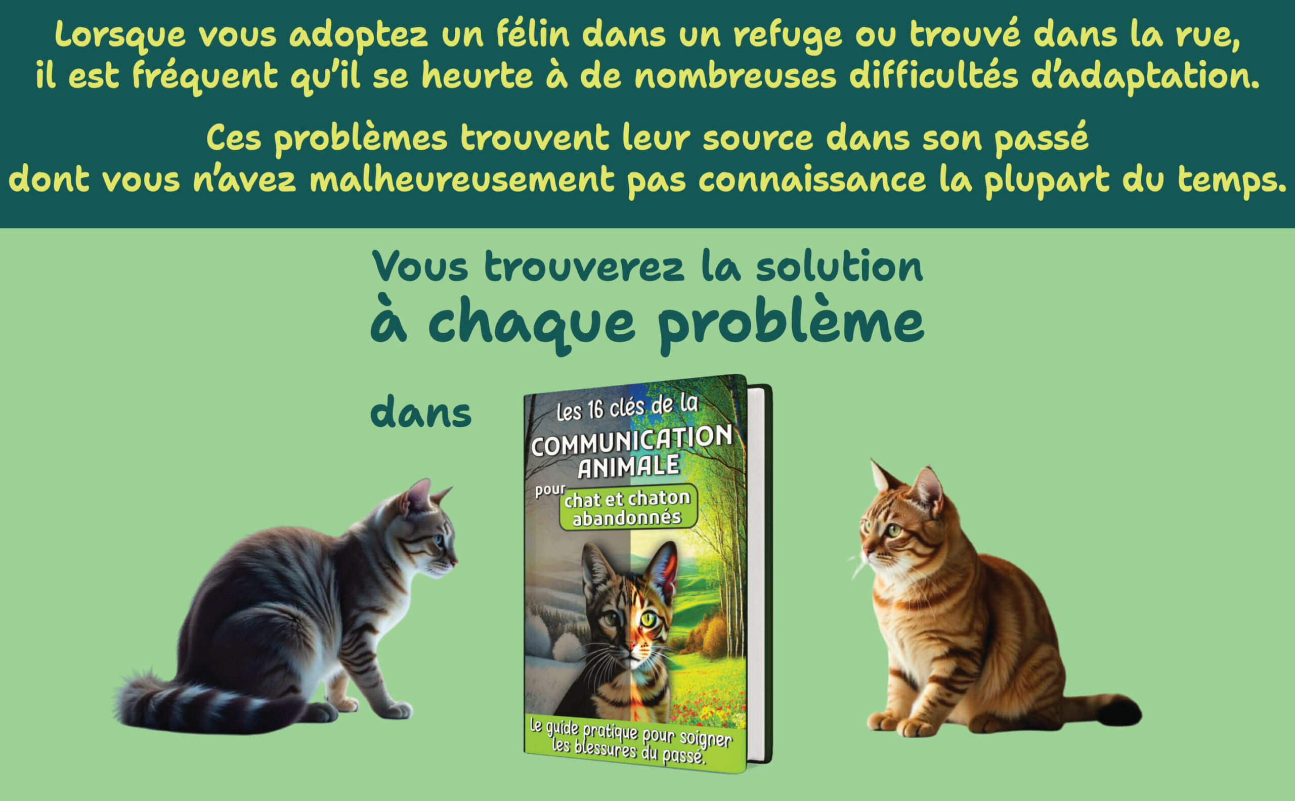 Communication animale A+2