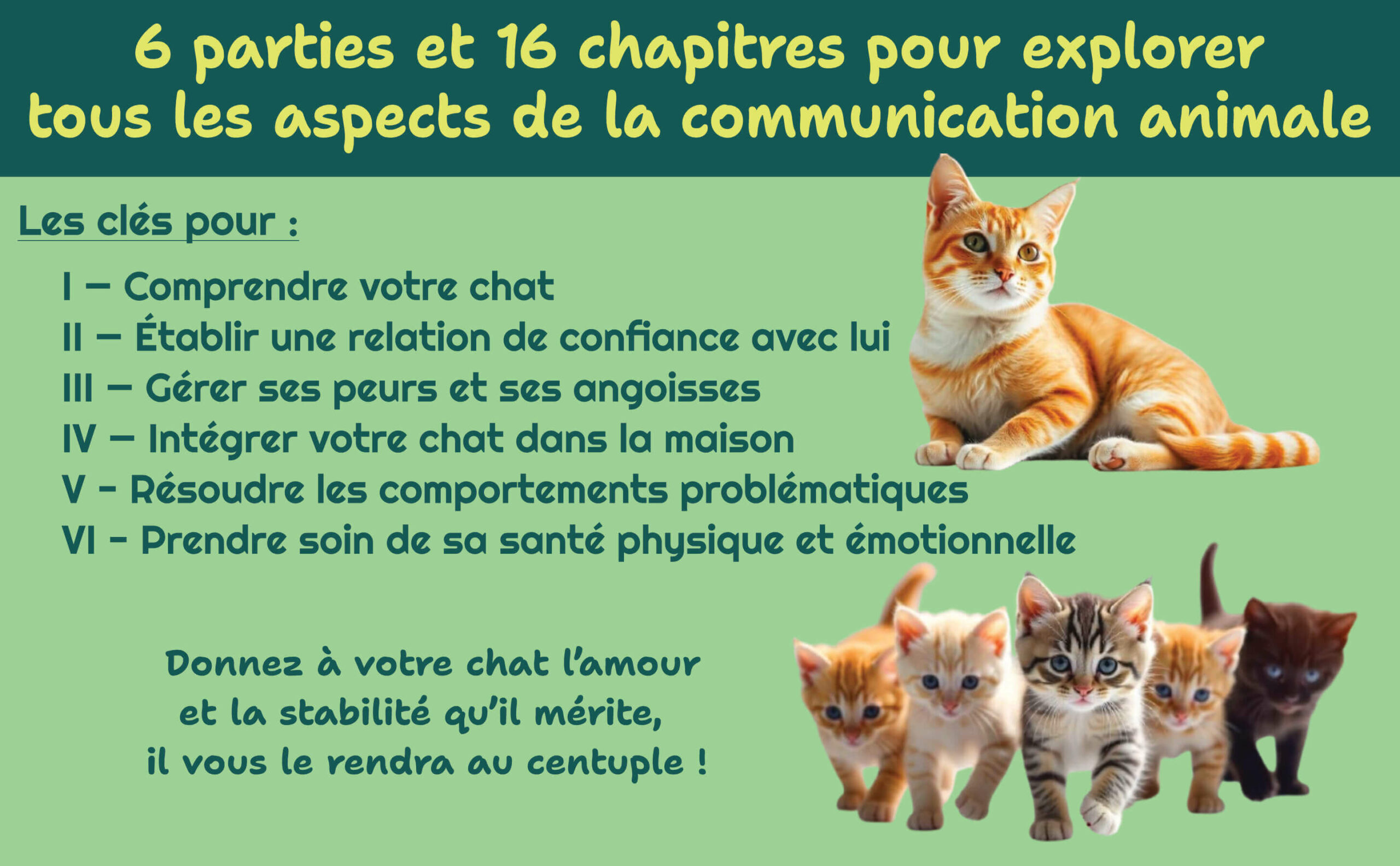Communication animale A+3