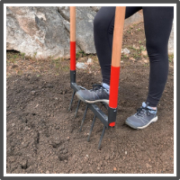 Grelinette jardin syntropique