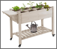 Herbes aromatiques en jardinières sur roulettes